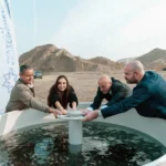 featured-image-555943