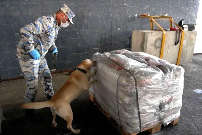 featured-image-557446