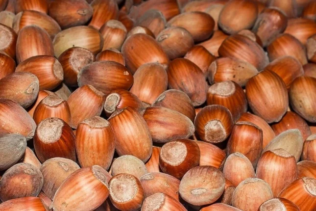 featured-image-557415