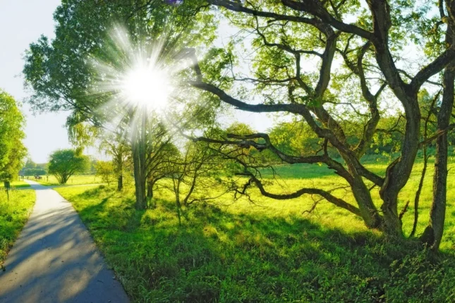 featured-image-555453