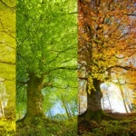 featured-image-556560