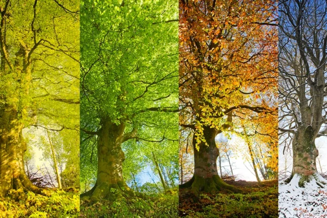 featured-image-556560