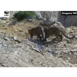 featured-image-557407