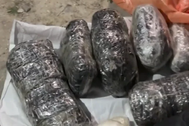 featured-image-557466