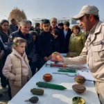 featured-image-557424