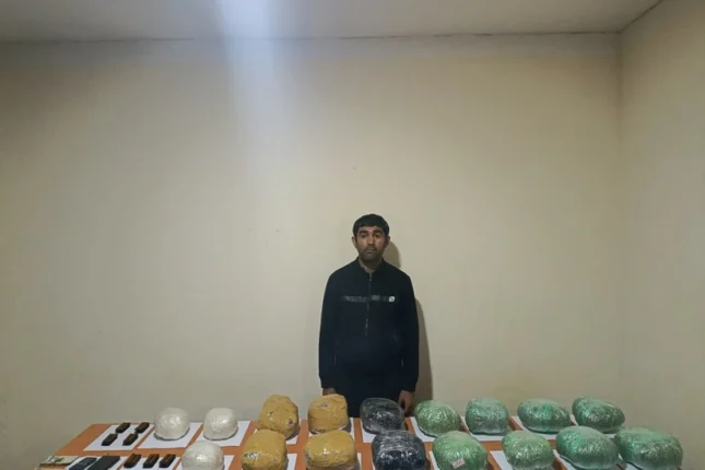 featured-image-556183