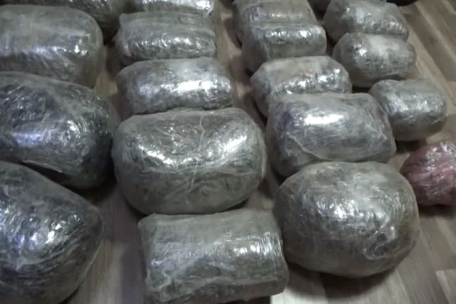 featured-image-556954