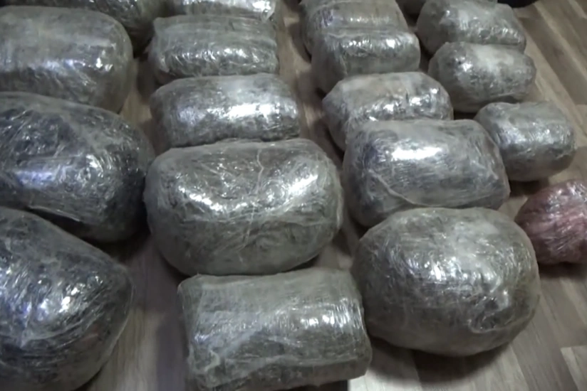 featured-image-556954