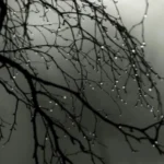 featured-image-557462