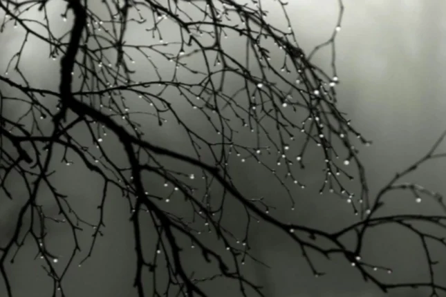 featured-image-557462