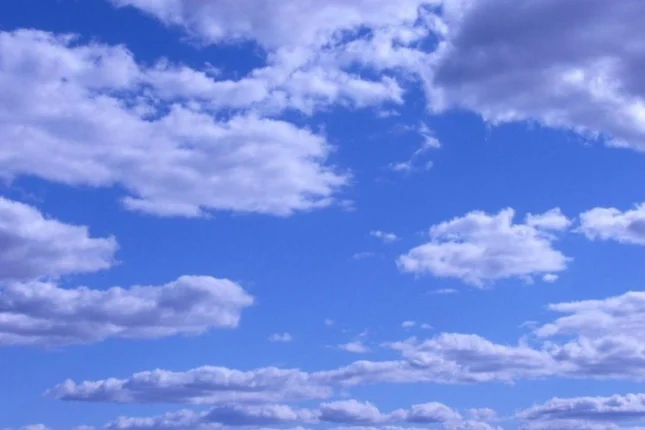 featured-image-556670