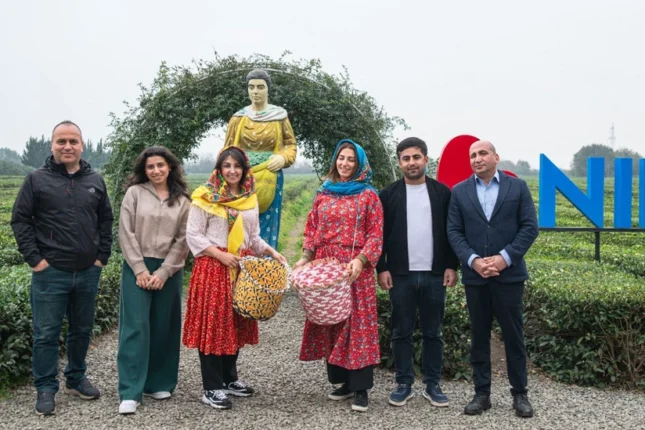 featured-image-557476