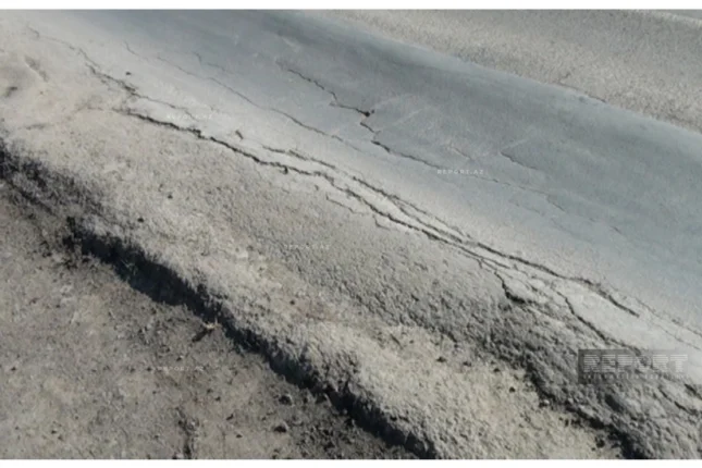 featured-image-556709