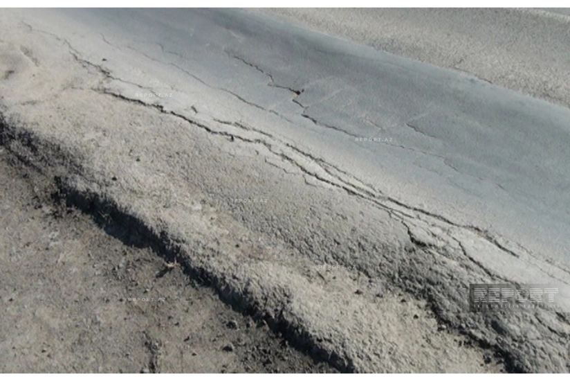 featured-image-556709