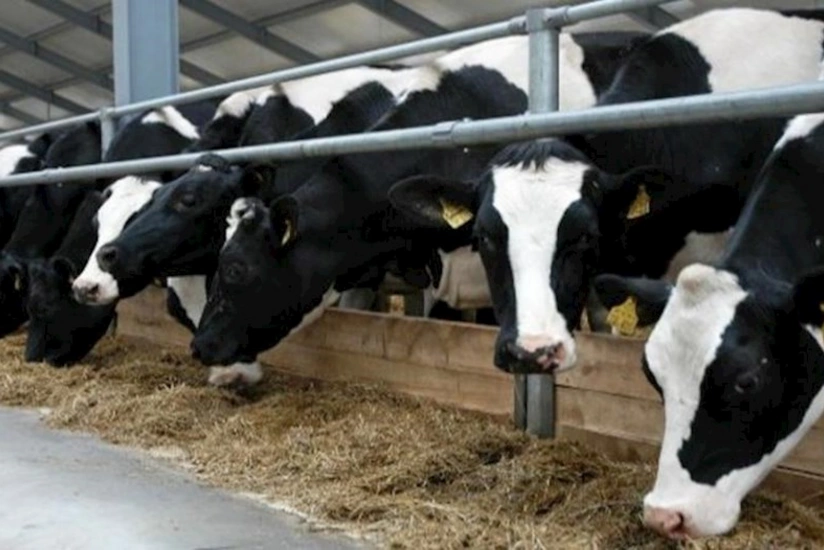 featured-image-555891