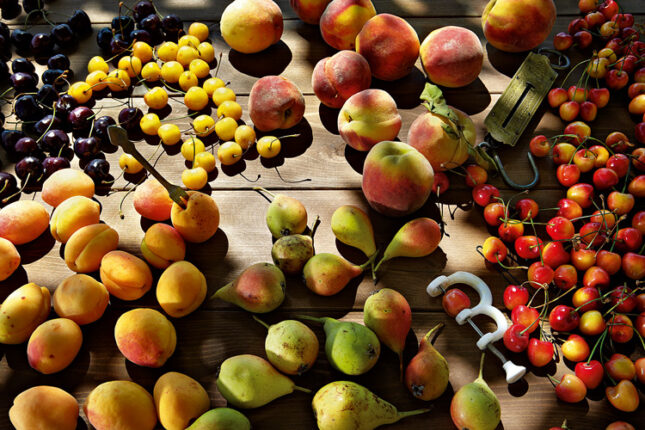 featured-image-555855