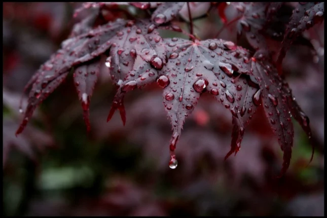 featured-image-554514