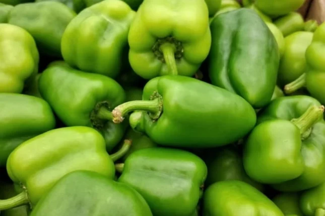 featured-image-557411