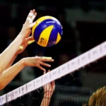 featured-image-559837