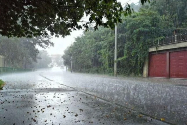 featured-image-558235