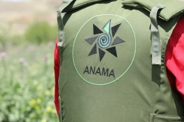 featured-image-559568