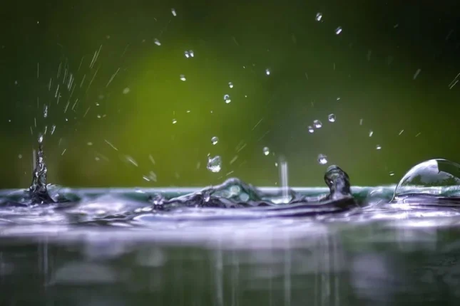 featured-image-558325