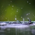 featured-image-559034