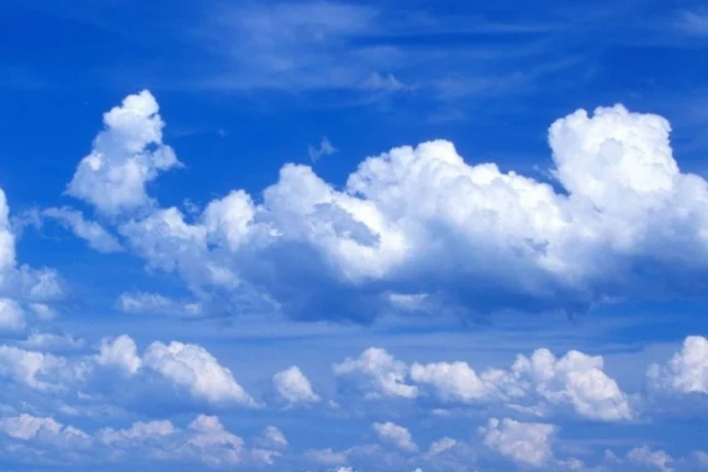 featured-image-560027