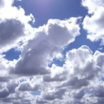 featured-image-560906