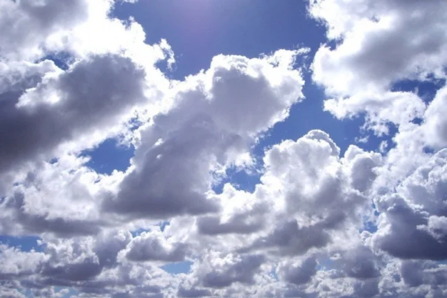 featured-image-560906