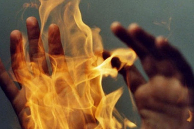 featured-image-559827