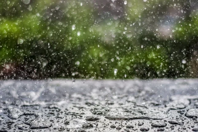 featured-image-558272