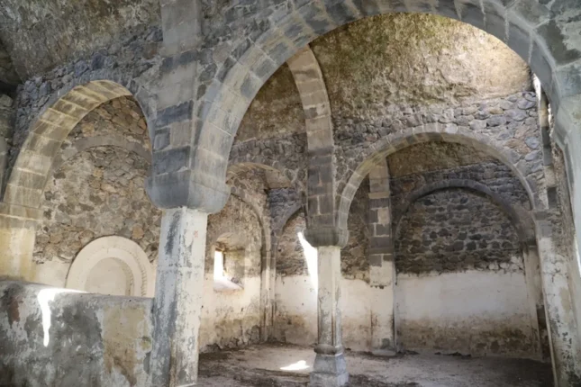 featured-image-558290