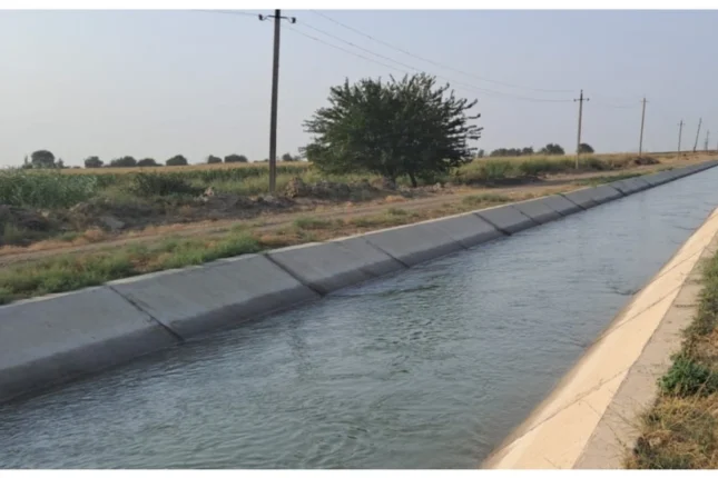 featured-image-557883