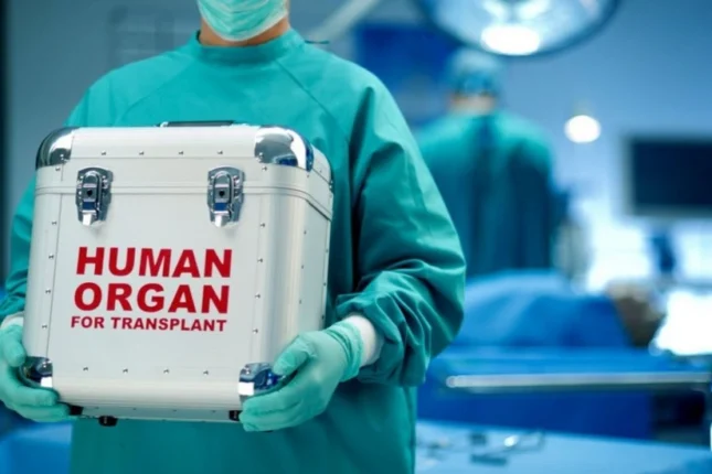 featured-image-557772