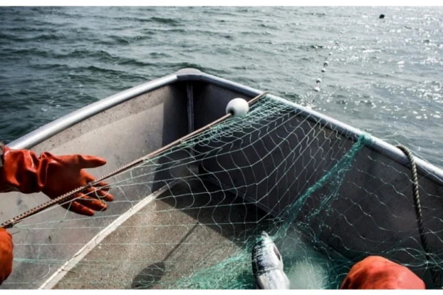 featured-image-560045