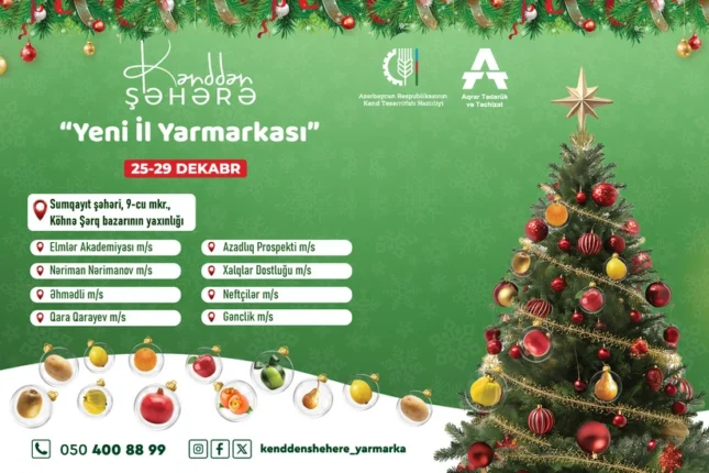 featured-image-560458