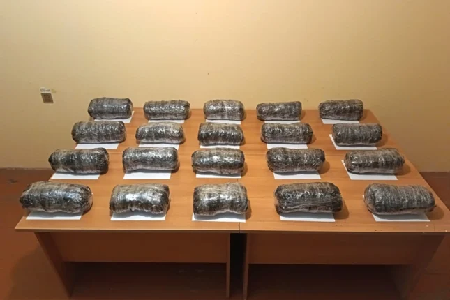 featured-image-557678