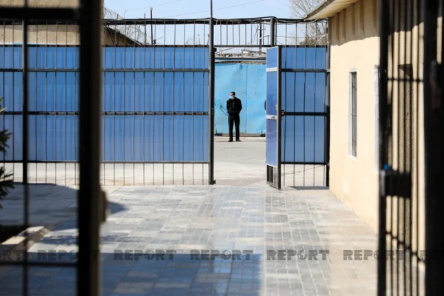 featured-image-560216