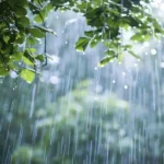 featured-image-558611