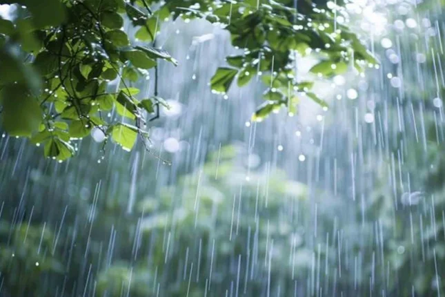 featured-image-558611