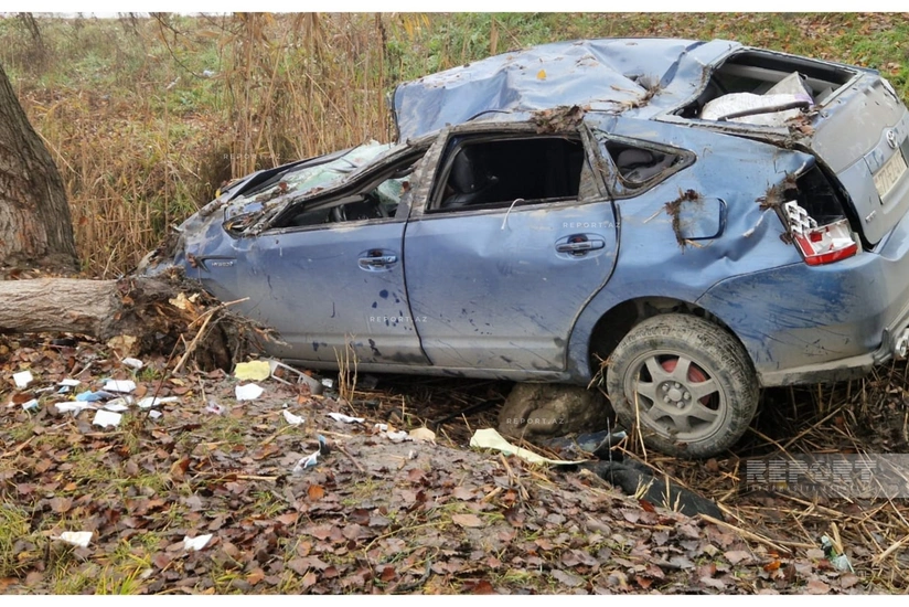 featured-image-558605