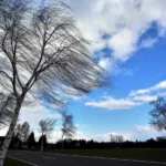 featured-image-560904