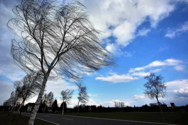 featured-image-560904