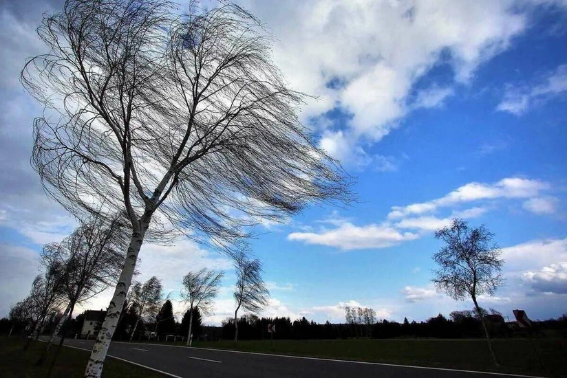 featured-image-560904