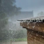 featured-image-560451