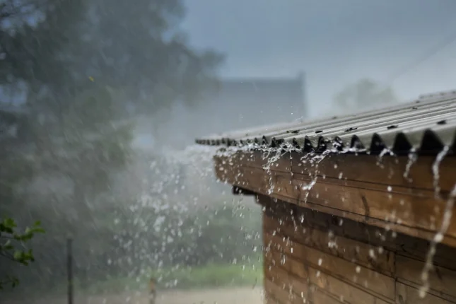 featured-image-560451