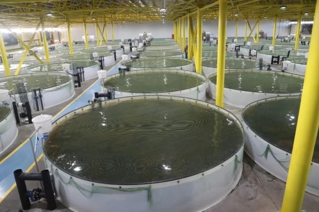 featured-image-560047