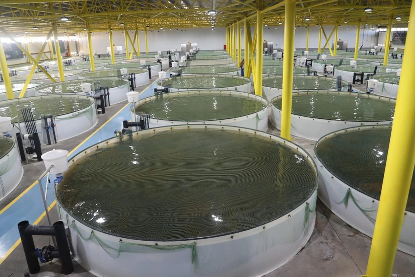 featured-image-560047