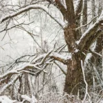 featured-image-560511